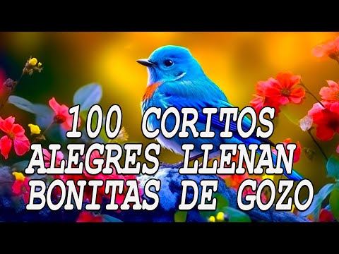 Coros Viejitos Pero Bonitos - Coros Pentecostales - Mas De 100 Coros Avivamiento Pentecostal