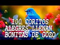 Coros Viejitos Pero Bonitos Coros Pentecostales Mas De 100 Coros Avivamiento Pentecostal