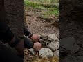 WANDER VISION Stay Tuned SOON ️ Nature Adventure Lifestyle Videoviral Contentcreation