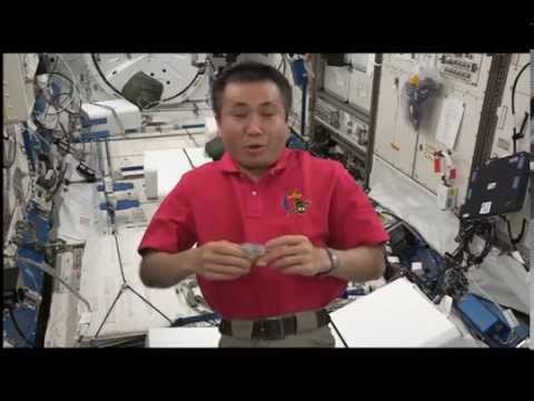 若田光一船長により大阪市立大学宇宙実験の様子が公表されました(映像：NASA/JAXA提供)