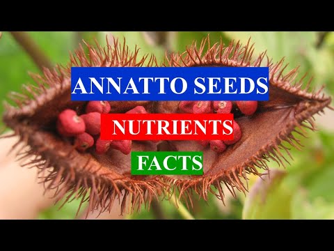 , title : 'ANNATTO SEEDS - Health Benefits and Nutrients Facts'