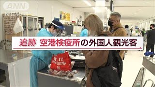 [問卦] 為什麼中國大媽帶豬肉去日本要大吵大鬧？