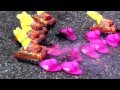 GOPeeps "War on Women" 