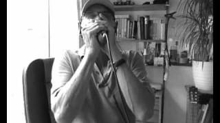 The thrill is gone - Paul Butterfield - Blues Harmonica Cover