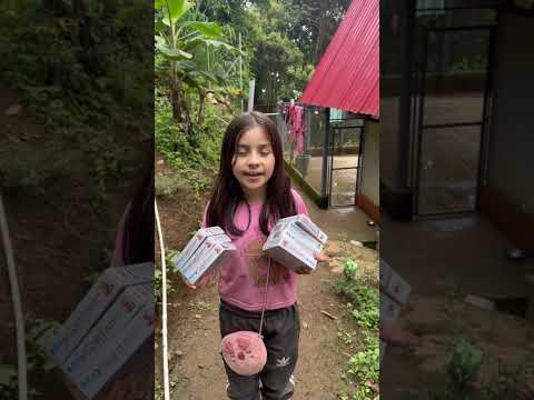 Pastillas Nexgard para los perritos del albergue de Balboa Cauca