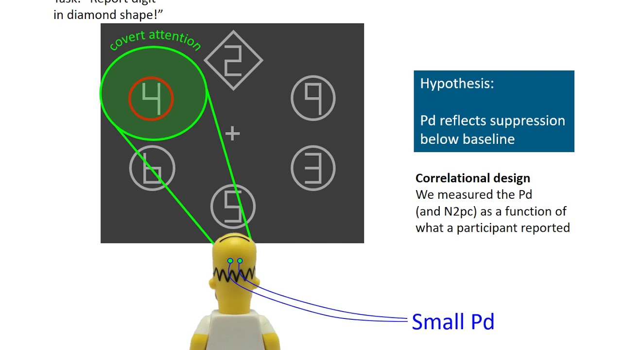 The Pd component reflects suppression of salient distractors below baseline