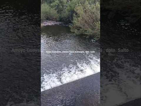 Arroyo Guayabos , camino a Paso de las Piedras de Arerunguá , departamento de Salto , Uruguay 🇺🇾 .