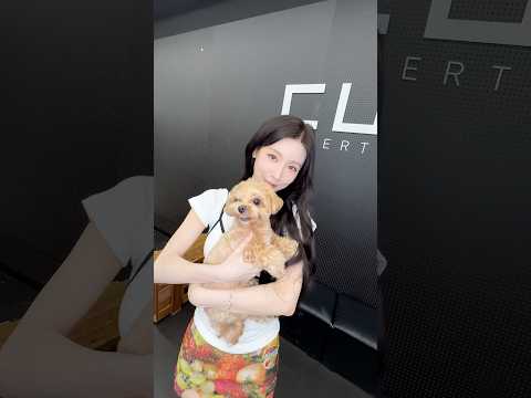 Pouuuuu 🐶