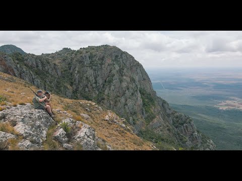 Red Duiker Hunt - BookYourHunt / Wild&Jag