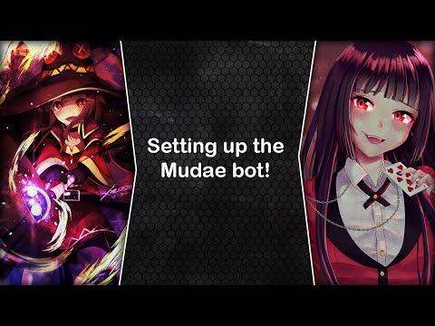 Setting Up The Mudae Bot