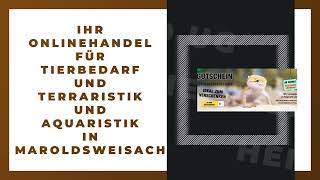 Video-Thumbnail