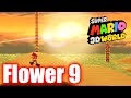 Super Mario 3D World World Flower 9 Towering Sunshine Seaside All Stars Gameplay Walkthrough