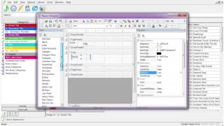 22 - How to Create a Printed Report Design