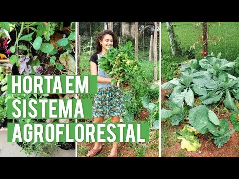 , title : 'NOSSA HORTA NO INTERIOR - sistema agroflorestal'