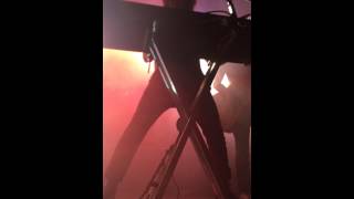 Mounties- Tokyo Summer