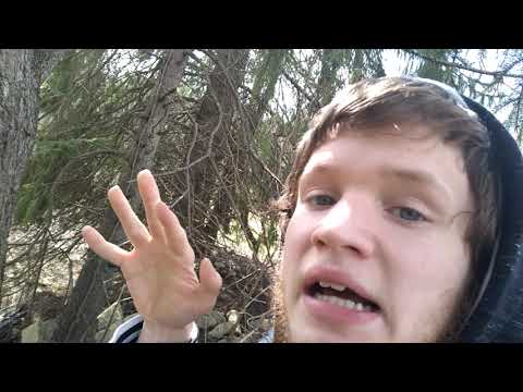 KrabbyVlog #70 - Twitch channel announcement + much more!