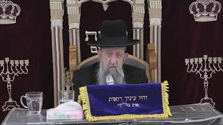 הרב בן ציון מוצפי • בית הכנסת סודאי שידור חי (בית הכנסת מוסאיוף) - התמונה מוצגת ישירות מתוך אתר האינטרנט יוטיוב. זכויות היוצרים בתמונה שייכות ליוצרה. קישור קרדיט למקור התוכן נמצא בתוך דף הסרטון