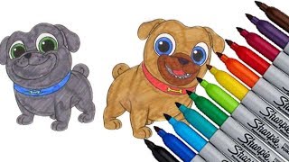 Puppy Dog Pals Coloring page 2017 New HD Video for Kids