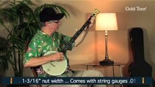 Gold Tone MM-150LN Banjo