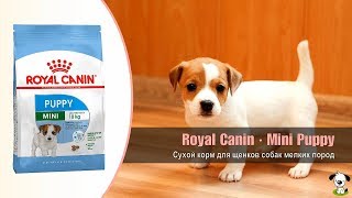 Royal Canin Mini Puppy 0,8 кг (30000082) - відео 1
