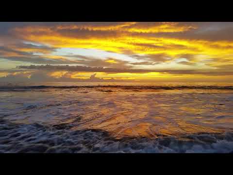 Costa Rica. Rare catch Fiery neon glowing ocean. Junquillal Beach