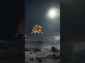 Chandrayan 3 Soft Landing Pragyan Rover Chandrayaan 3 Whatsapp Status