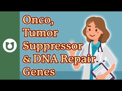 What are oncogenes, tumor suppressor genes, DNA repair genes and common types of each? #myeloma