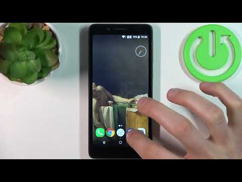 How to Turn On / Turn Off Automatic Text Correction on ALCATEL 1C (2019)