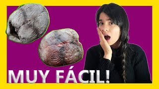 Cómo preparar ATÚN NATURAL desmenuzado | Cómo preparar ATÚN FRESCO desmenuzado | ATÚN | SÚPER FÁCIL