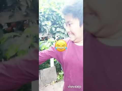 Crispy Fried Chicken🍗- Joaquin's Style