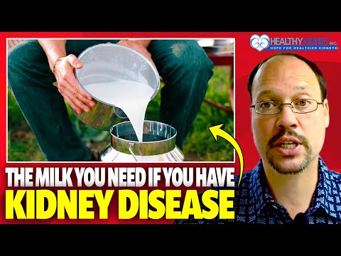 Milk And Kidney Disease. What Damages The Kidney Less? Rice, Soy, Plant-based, Coconut, or Oat Milk?