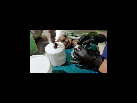 Safari cake part4. 3D little explorer