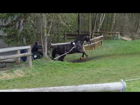 Fahrturnier Greffen 10.4.2022