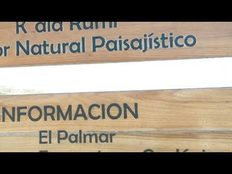 Petroglifos de Kala Rumi en el ANMI El Palmar en Presto, Chuquisaca. Bolivia Octubre 2025