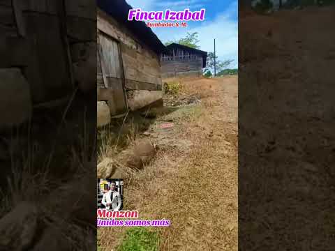 Finca Izabal Tumbador S. M.