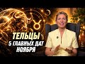 Тельцы Ноябрь 2026: Важные перемены после 12 числа. Полные таймкоды и главы