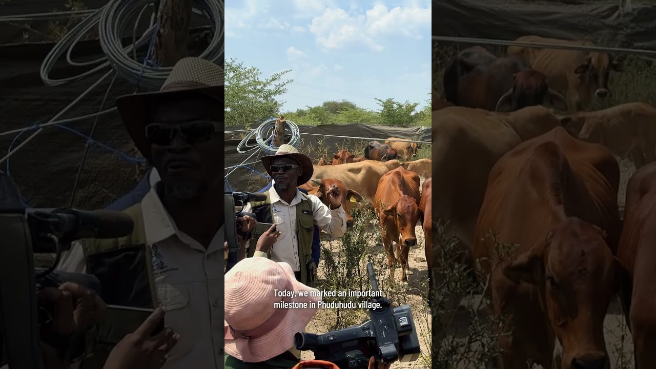 Herding for Health and Prosperity in Botswana