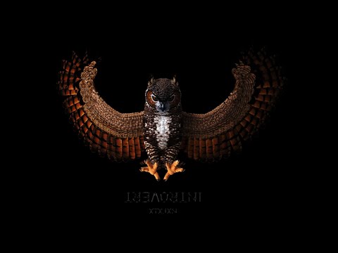 xtxjxn - Интроверт (Audio)