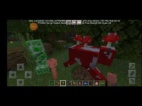 mobs mais raros do Minecraft e os achei!!!