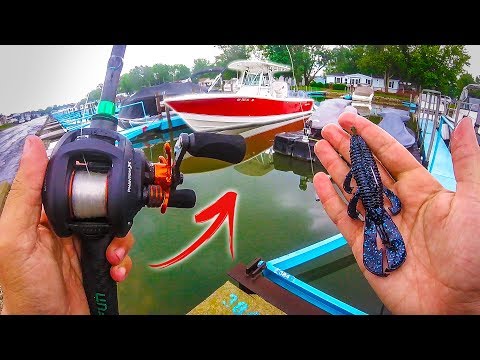Bass Fishing Small Cuts around EXPENSIVE Boats!
