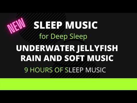 Unlock Deep Sleep With 9 Hours Of Relaxing Underwater Jellyfish Rain And Music