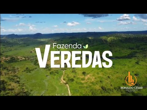 FAZENDA VEREDAS | 65 ALQUEIRES | MINAS GERAIS