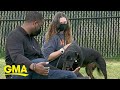 These dogs are getting a second chance at life