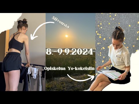 Tutustutaan, opiskellaan ja siivotaan🧹🧡| VLOGI