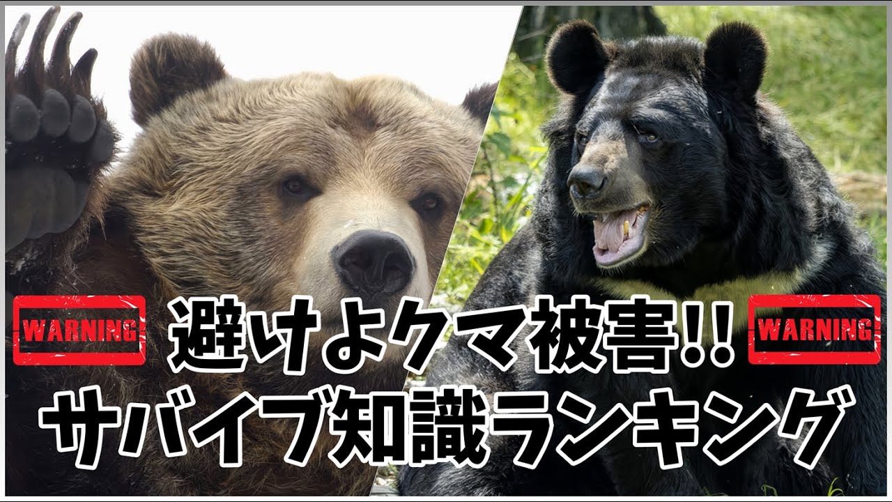 避けよクマ被害!!サバイブ知識ランキング