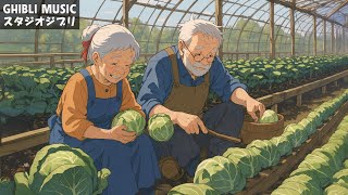 ジブリ メドレー 🍀美しい2時間のスタジオジブリ音楽 🔔 ジブリ史上最高のリラックス BGM 💎千と千尋の神隠し, となりのトトロ, ハウルの動く城, 天空の城ラピュタ, 火垂るの墓