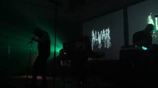 ALVAR (Live @ BIM Fest 2017)
