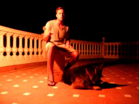 Y AHORA ( joaquin vilella seguí )