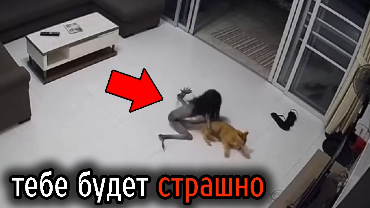 Самые Ужасные Видео со Всего Мира #100