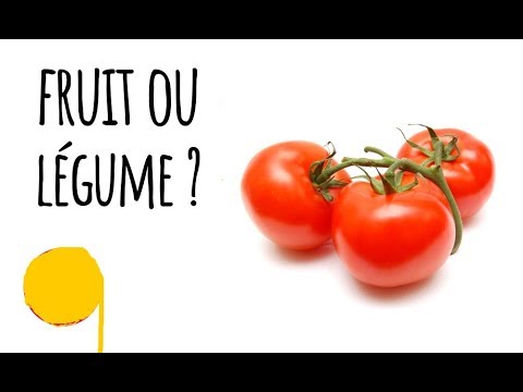 , title : 'TOMATE- ( FRUIT OU LÉGUME) La tomate est-elle un fruit ou un légume ?'